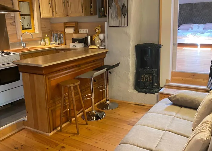 펜션 Le Cabanon La Robine-Sur-Galabre